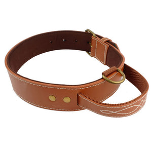 Kings Leather Dog Collar With Handle Grip - GAME-BRED K-9's